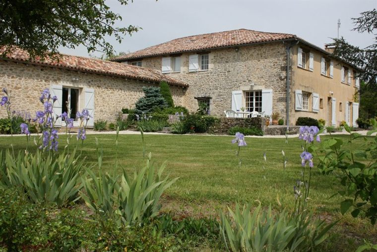 Les iris au printemps